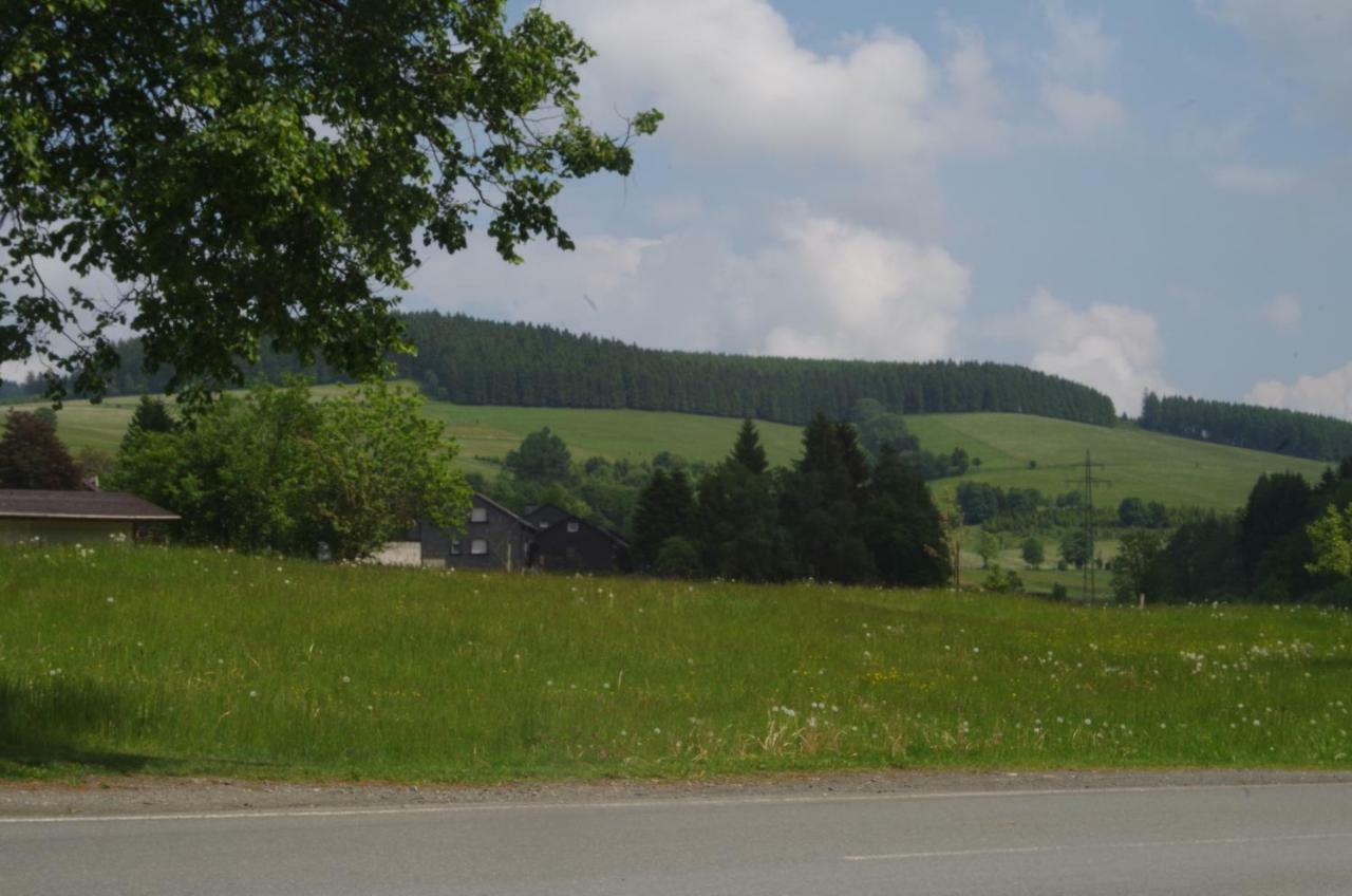 Das Gelbe Haus 1 Appartement Winterberg Buitenkant foto