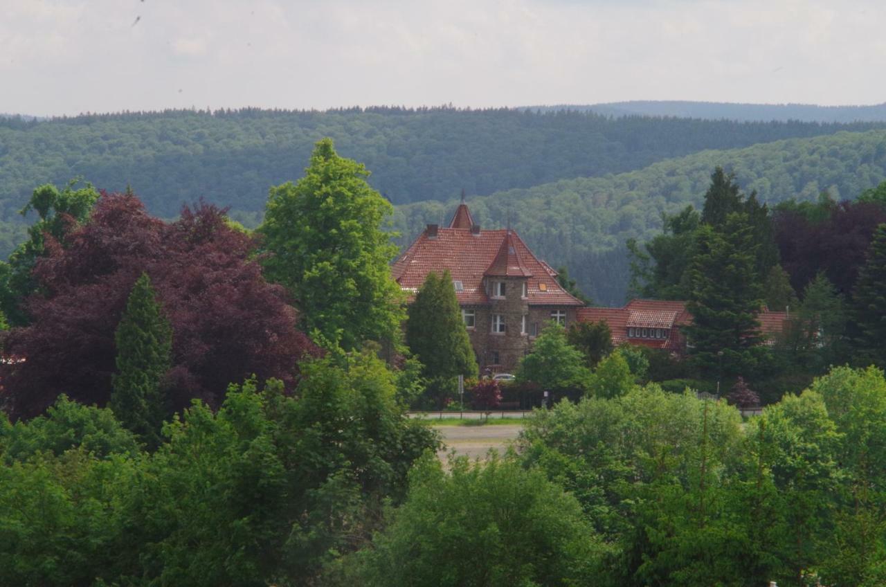 Das Gelbe Haus 1 Appartement Winterberg Buitenkant foto